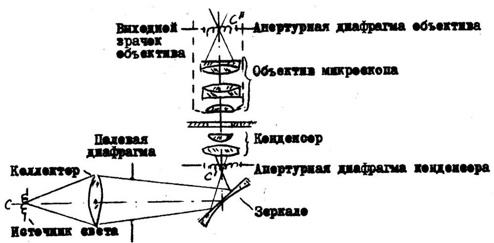 Схема простейшего оптического микроскопа