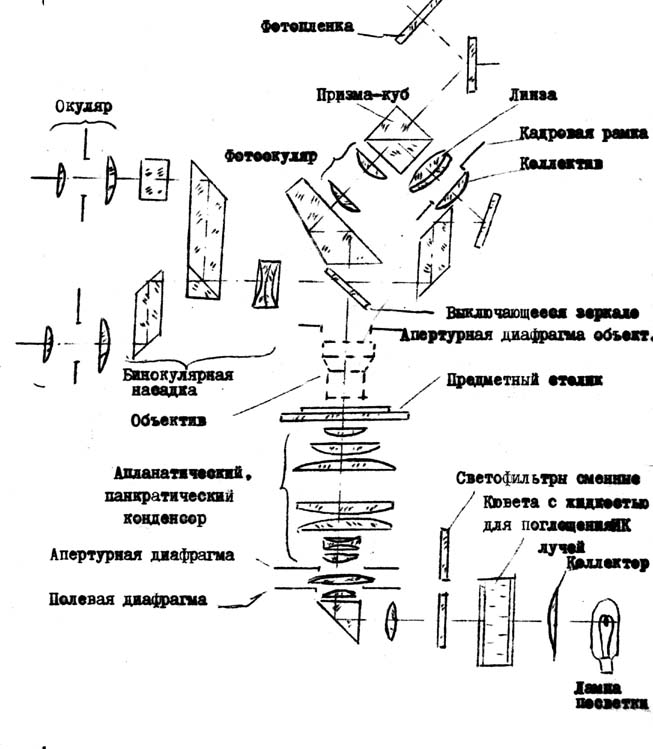 Оптическая схема микроскопа