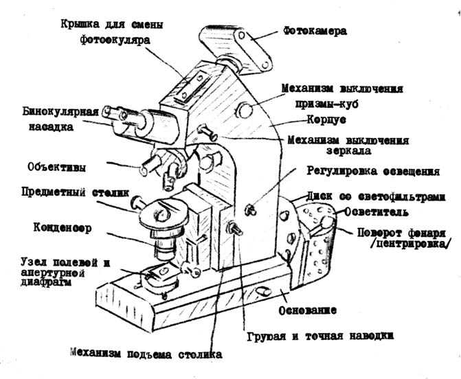 Строение оптической схемы микроскопа прямой или инвертированный