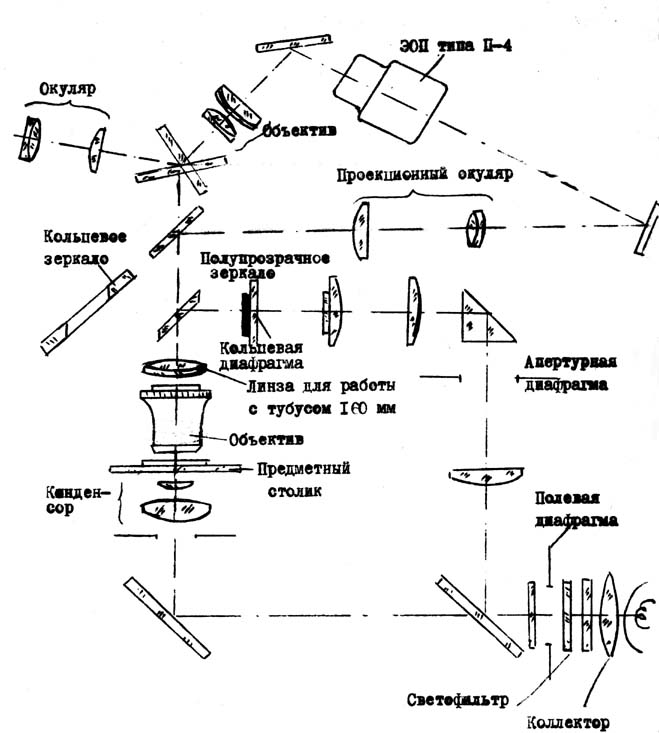 Строение микроскопа линзы. Оптическая схема бинокулярного микроскопа.